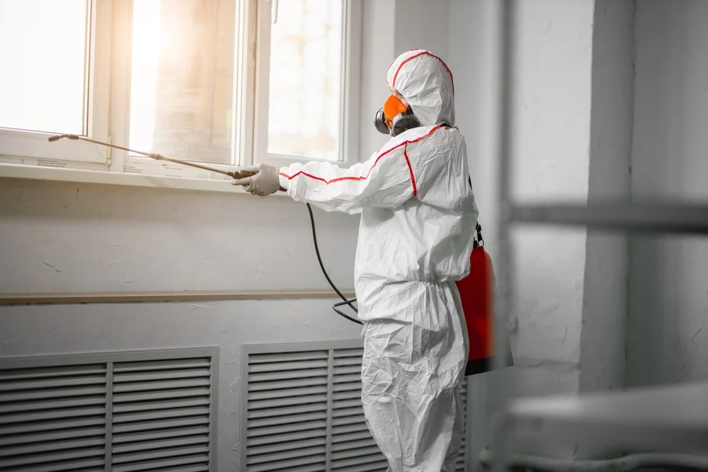 Professional mold remediation services in Kemp, TX